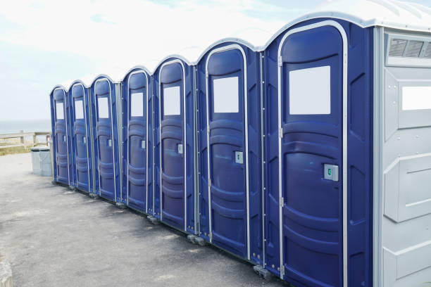 Types of Portable Toilets We Offer in Mono Vista, CA